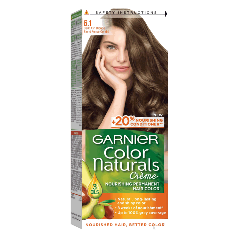 Garnier Color Naturals Creme Hair Color No (6.1) Dark Ash Blonde